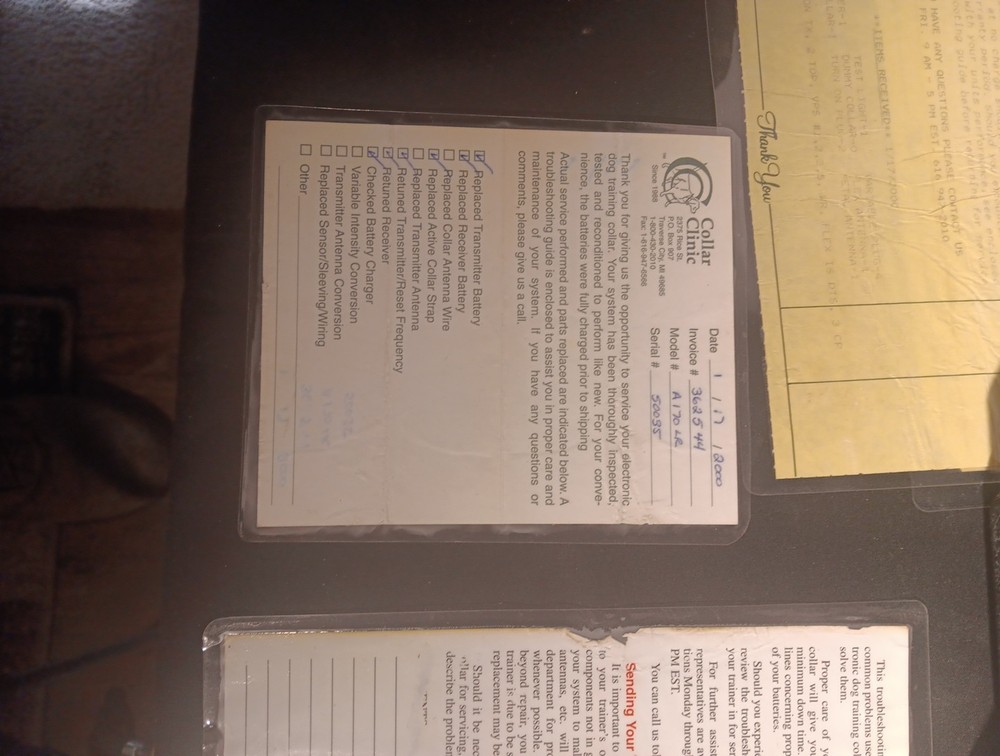 electric dog training collar