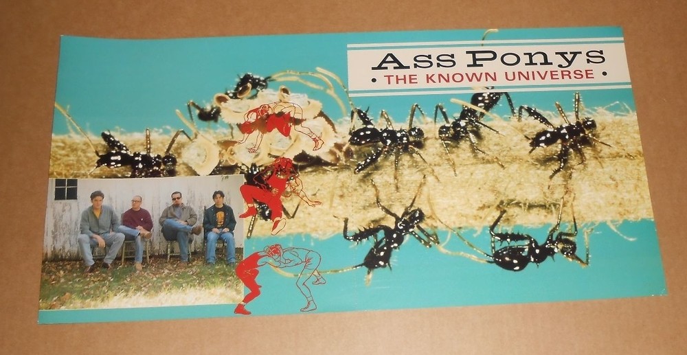 Ass Ponys The Known Universe Original 1996 Promo Poster Flats 12x24 RARE