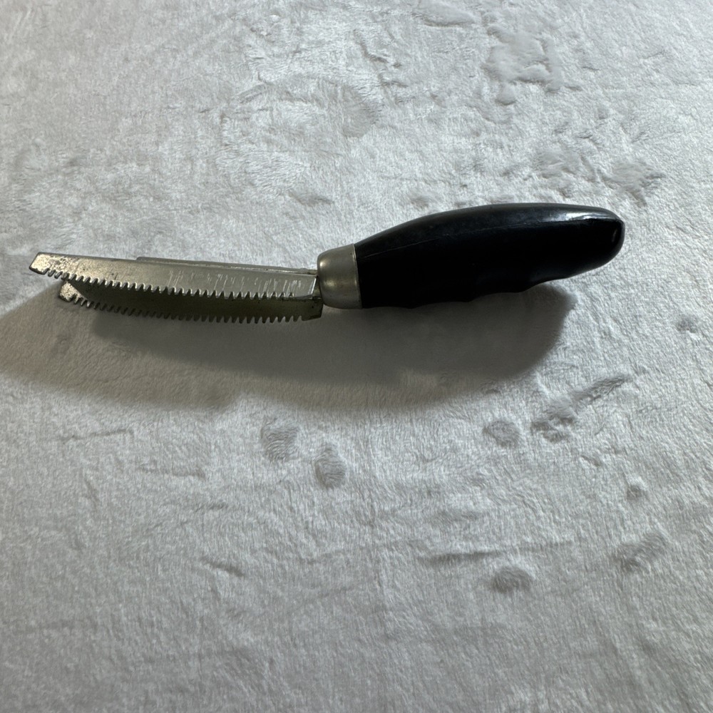 fish scale remover