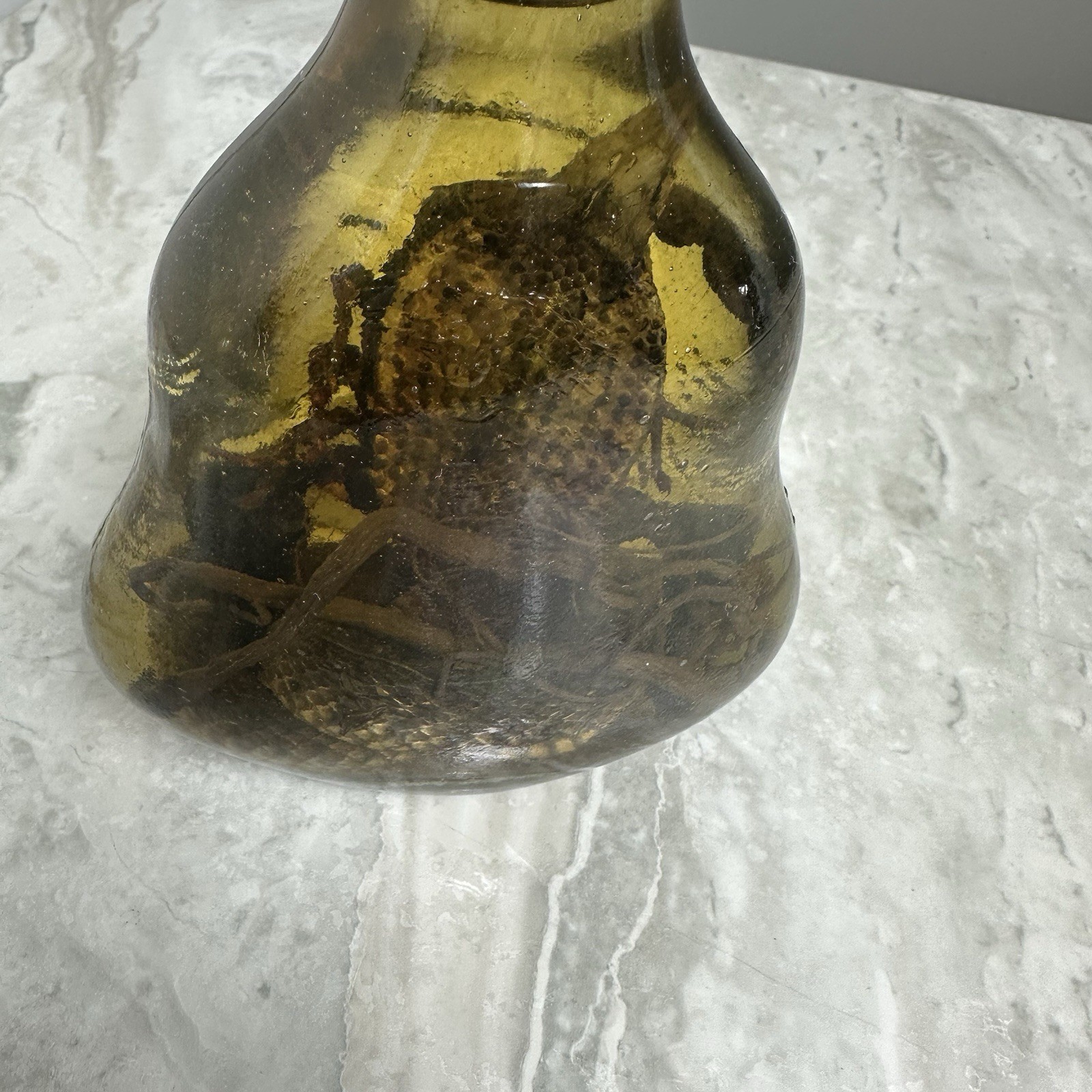 Cobra Snake And A Scorpion In A Glass Bottle 7" Tall - Snake Wine?