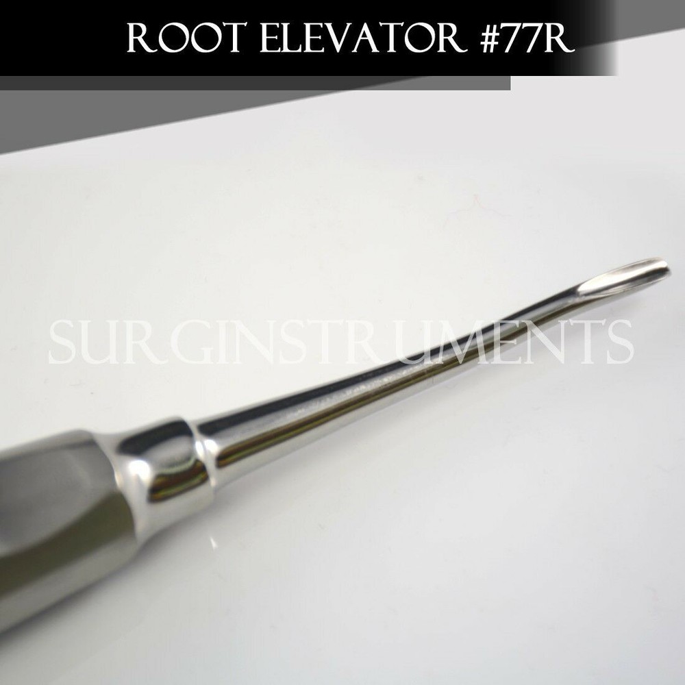 Root Dental Tooth Extracting Elevator # 77R