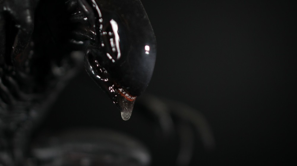 Alien Xenomorph With Eggs 3D Print Diorama Model