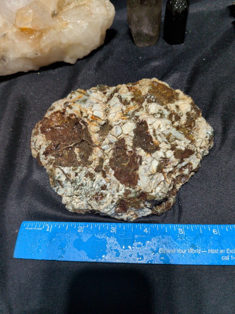 Hampton Butte Slab Specimen (1lb 8oz)