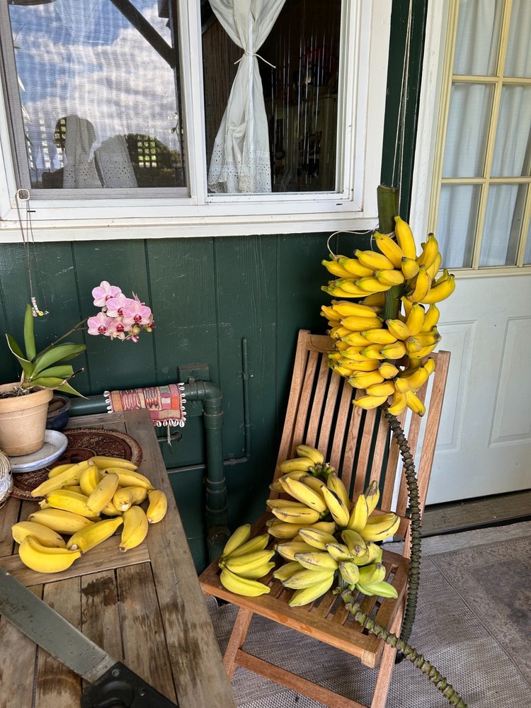 Dried Apple Bananas 2oz