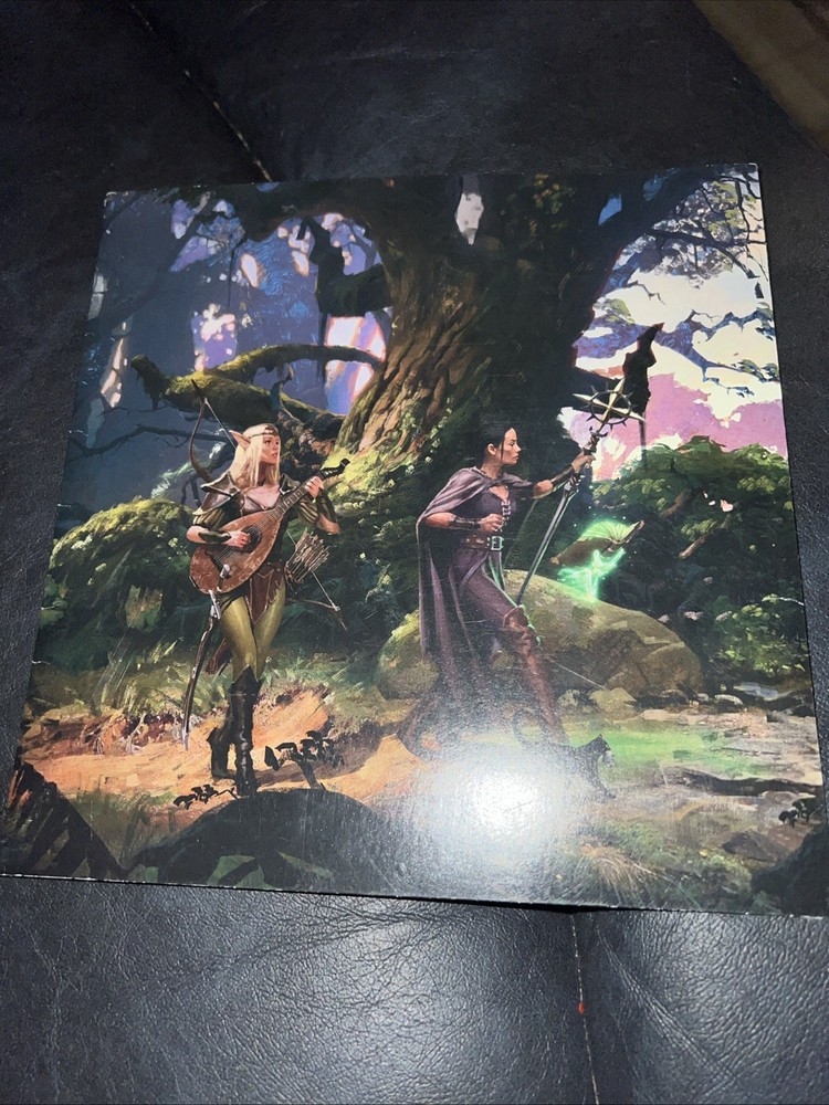 Dungeons and Dragons Dungeon Master's DM Screen Shield