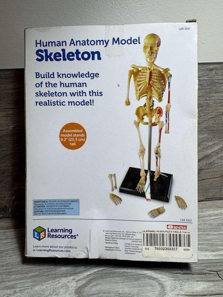 Learning Resources STEM Human Anatomy Skeleton 9.2" Tall Realistic Model ~ 41 Pc