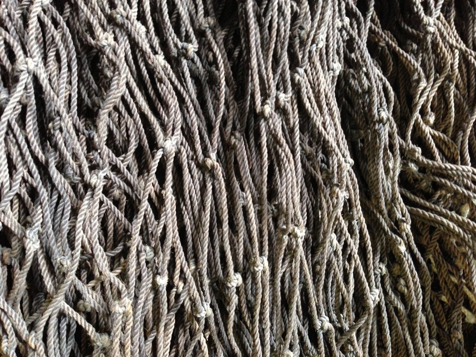 20ft x 15ft Baseball/Softball/Soccer Sporting Net, USED Commercial Fishing Gear