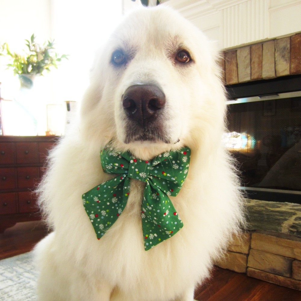 Ash Grey Pet Bow Tie or Sailor Bow-4 Sizes Available