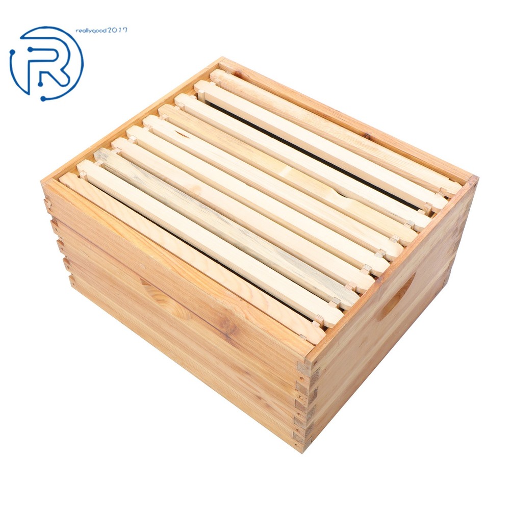 Beeswax Coated 4 Layer 10 Frame Bee Hive Includes Beehive Frames and Foundations