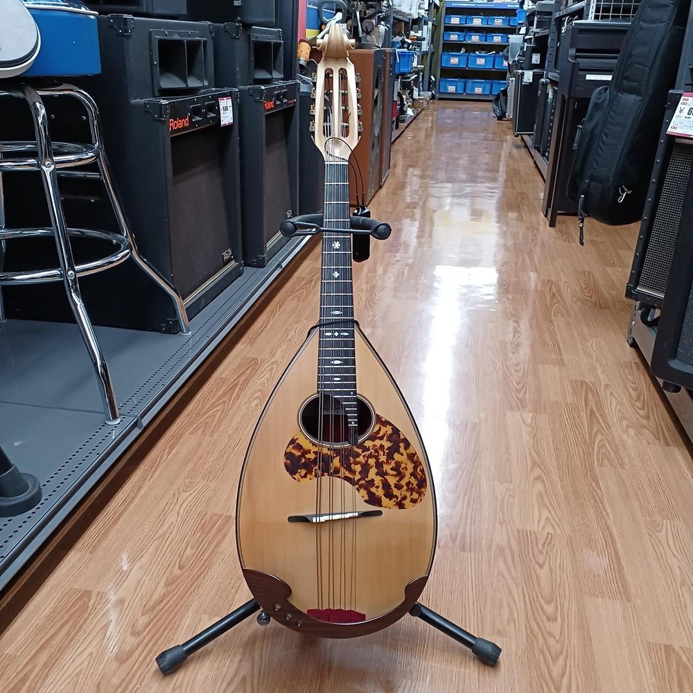 Miyano Mandolin MD-3 BIS Mandolin