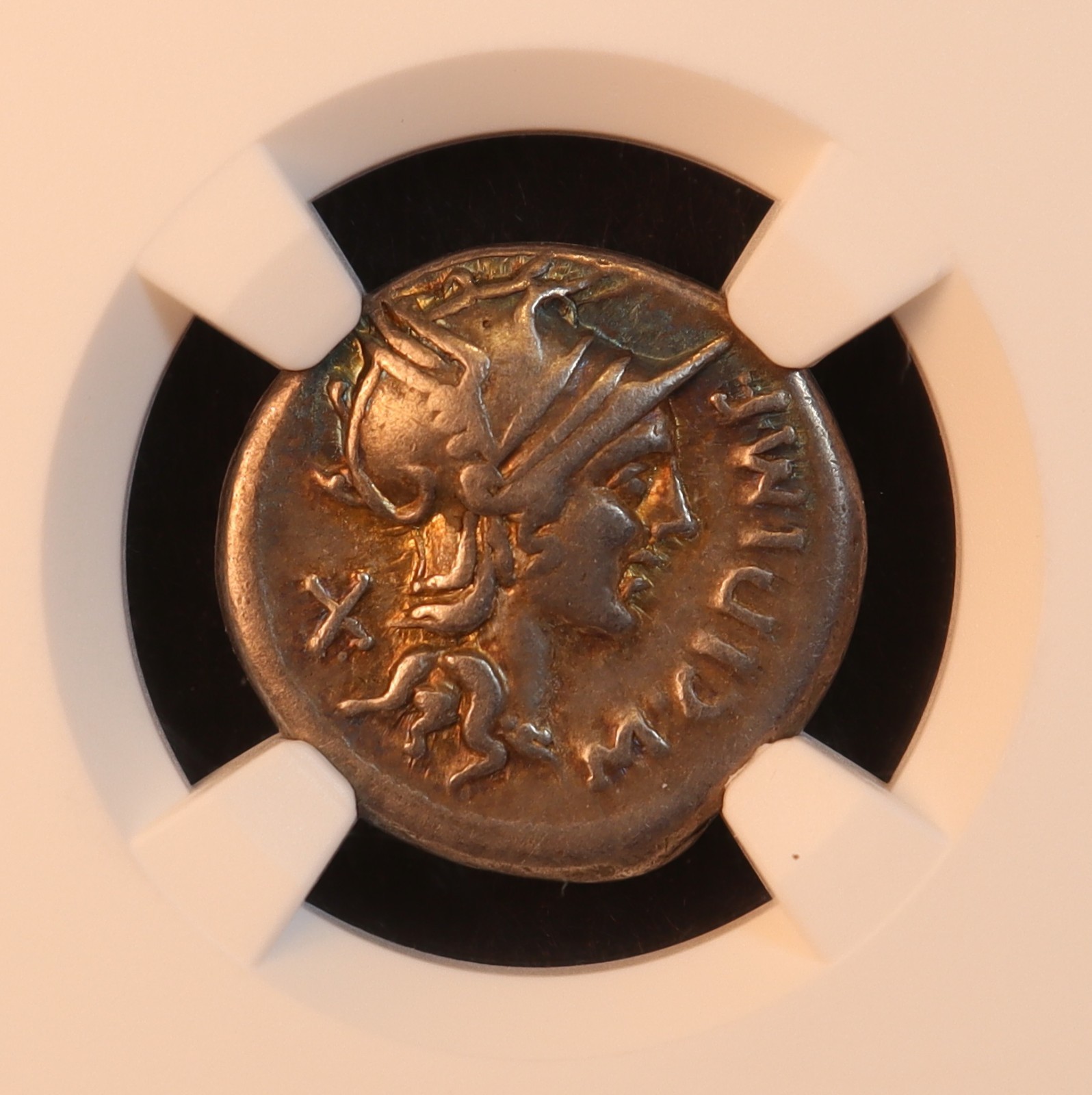 Roman Republic M. Cipius Denarius (115 BC) - NGC VF! Gorgeous & Rare Toning! PQ+