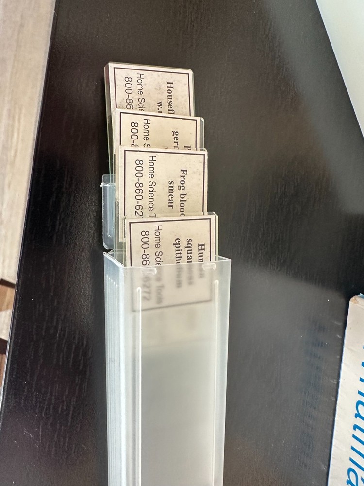 1000X LED Microscope & Slides