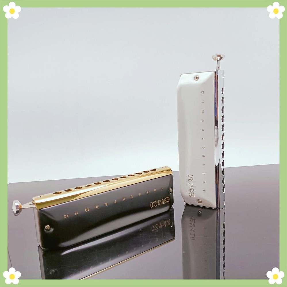 EASTTOP Updated Version Chromatic Harmonica Key C 12Hole Mouth Organ Harmonica