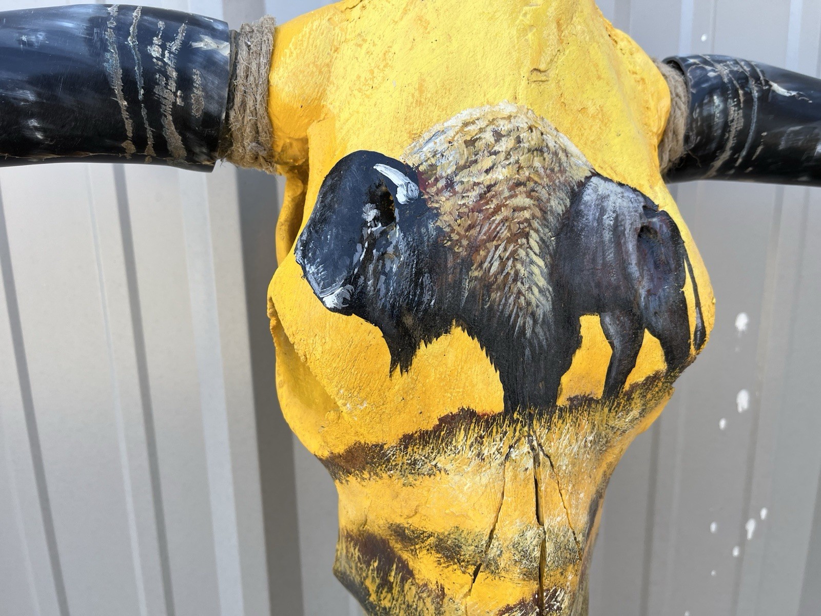 STEER SKULL Painted 3 Feet 7 Inch WIDE BULL HORN MOUNTED COW Bison Bull Buffalo