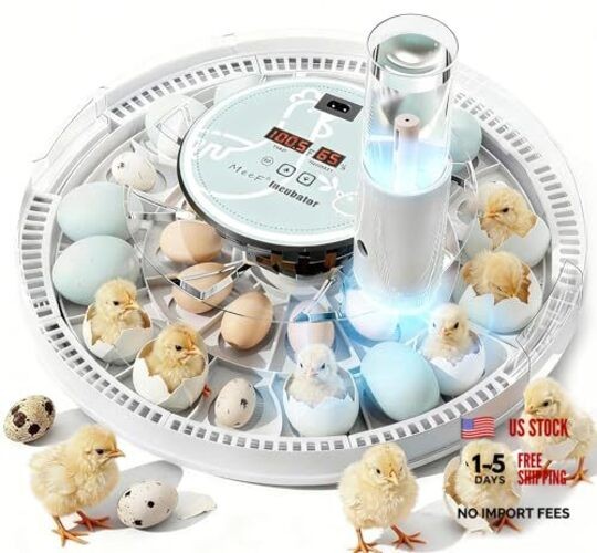 Egg Incubator for Hatching 28 Eggs, Auto Flip, Independent Atomizing
