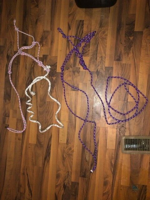 2 KNOTTED TRAINING HALTERS WITH LEAD LINES