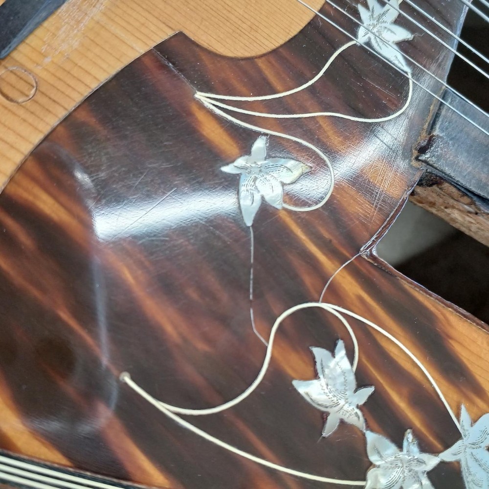 RAFFAELE CALACE NO.13 Mandolin