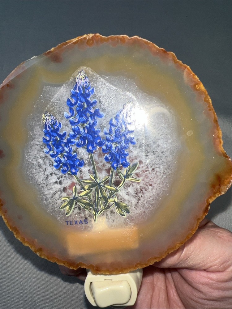 Vintage Blue Bonnet Texas Night Light