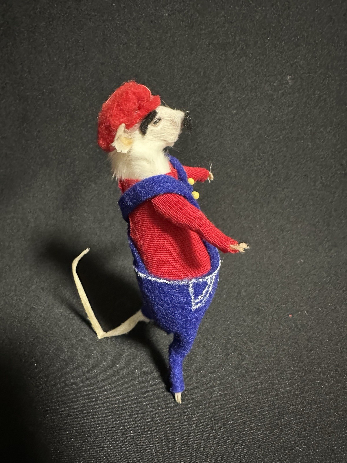 Taxidermy Mouse Super Mario Mouse Oddities Curiosities Taxidermy Art