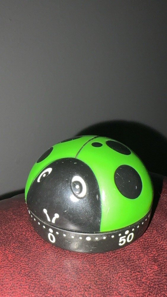 Novelty 60 Minute Timer Cute Green - Black Lady Bug