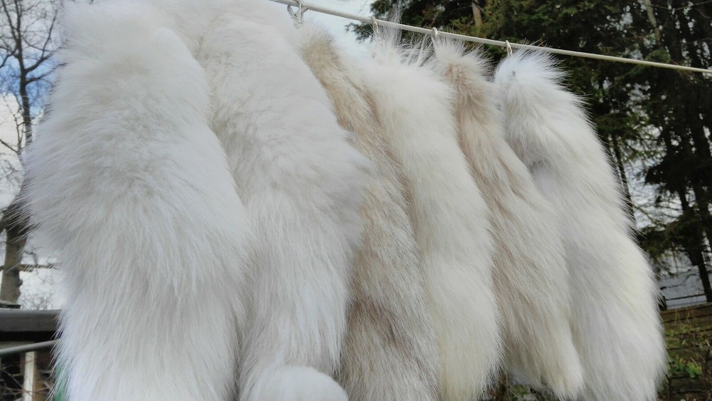 Foxtail Fox Tail Tail Fox Tail Fox Rod Arctic Fox Pendant