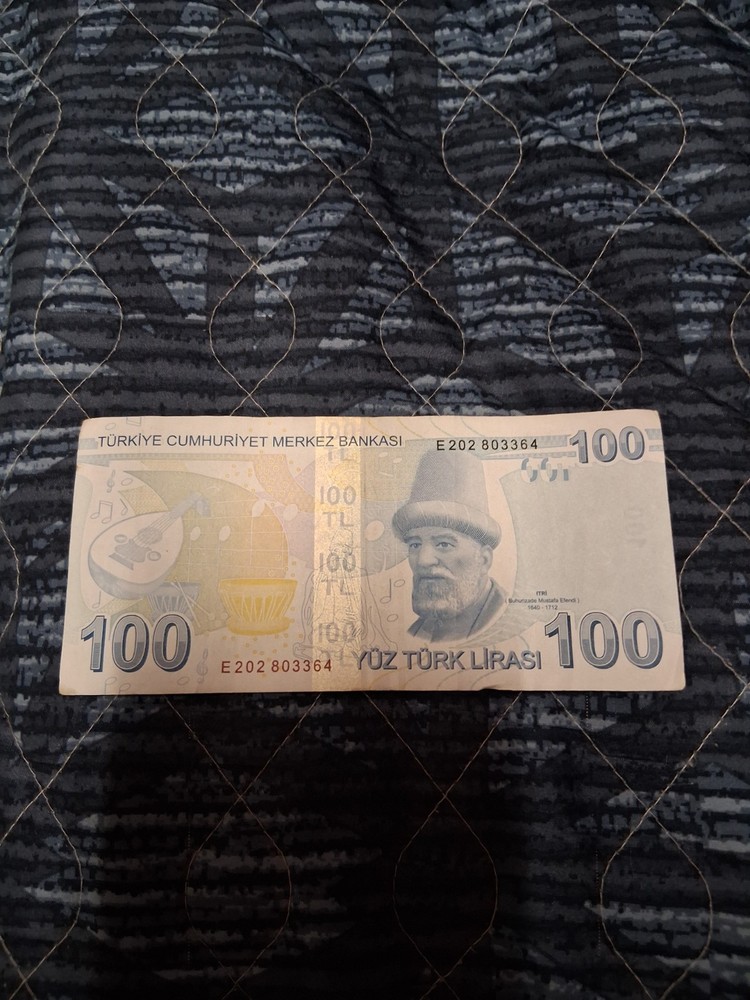 Turkish Lira Banknotes 265 Lira