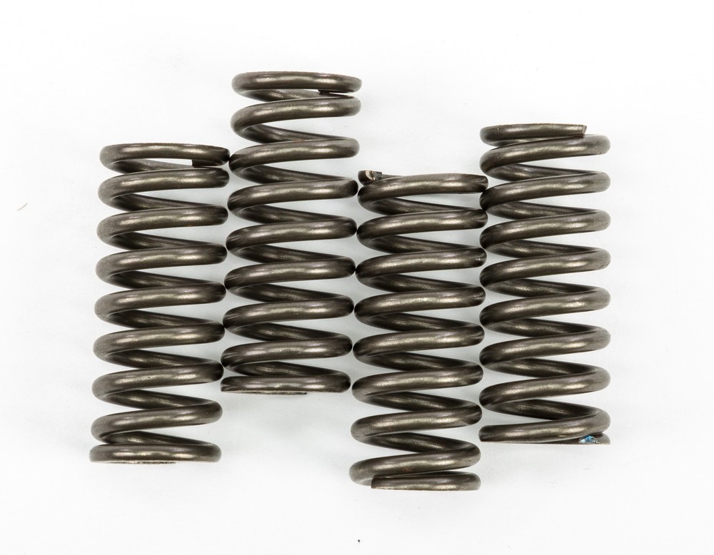 EBC Clutch Spring Set CSK149