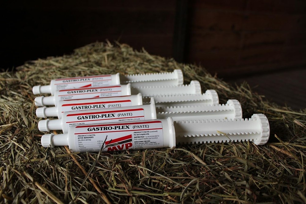 Gastro-Plex Paste 5-Pack (10 doses) Gastric Paste for Horses