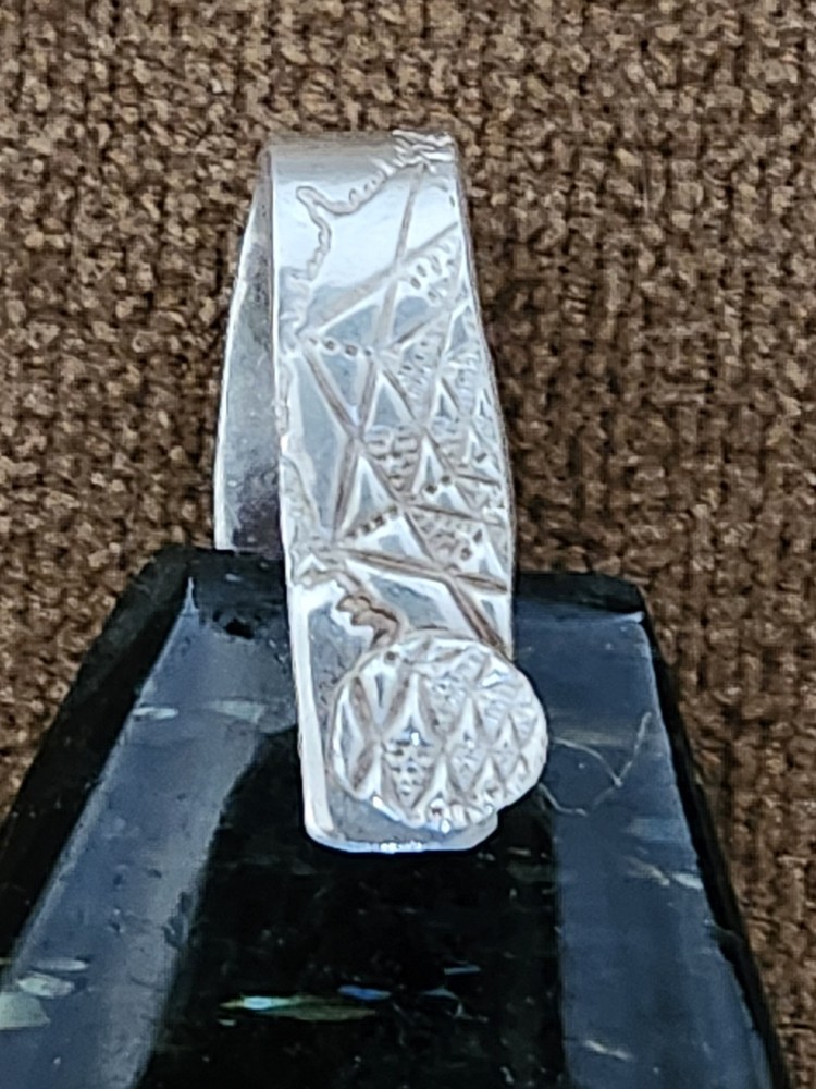 Nuummite pendant and Silver Chain