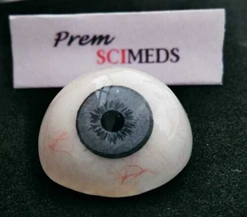 SciMed's Ocular Prostheses Artificial Human Prosthetic Eye & Sterilized Case