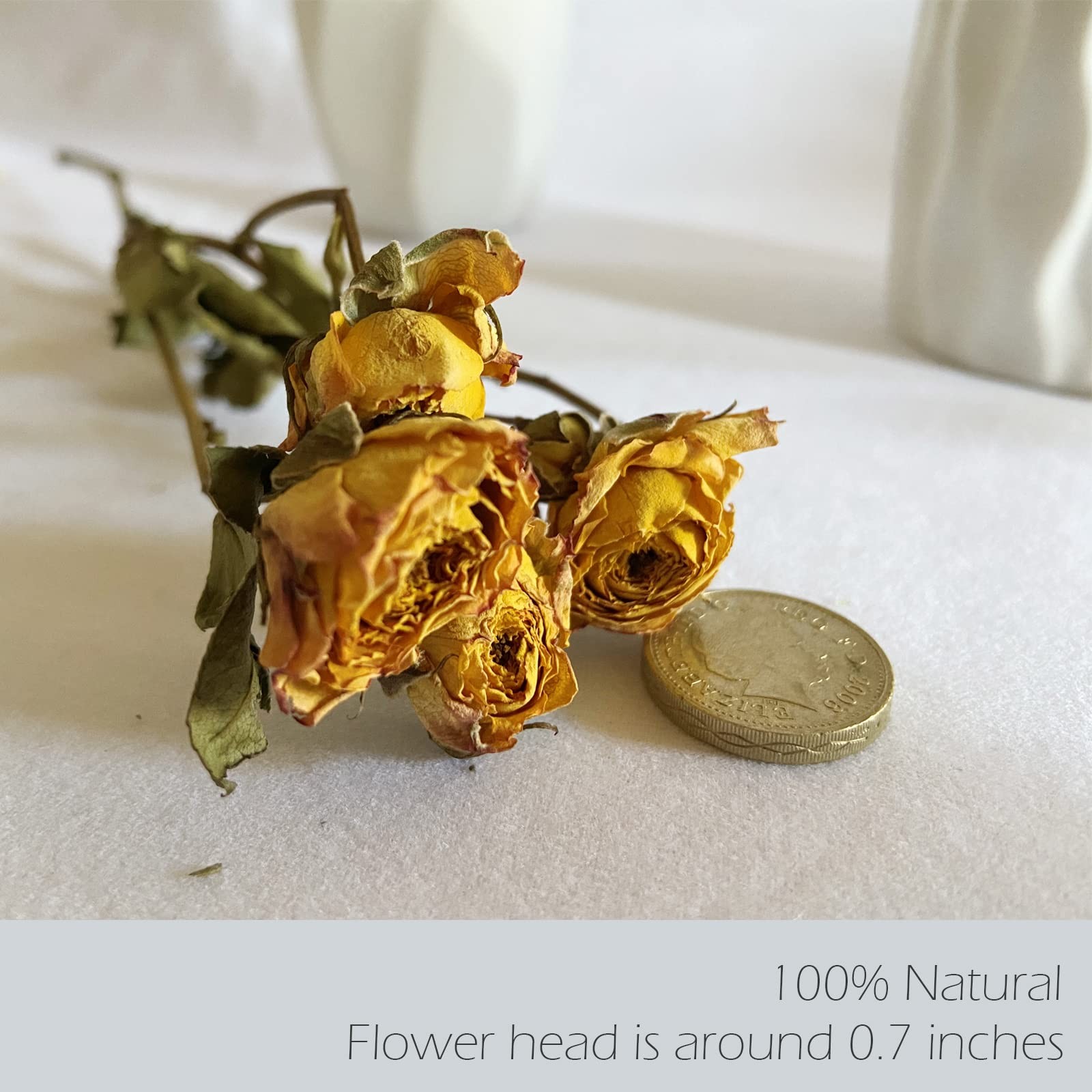 Dried Flower Spray Rose Bouquets, 2 Bunches 100% Natural Flowers, Miniature R...