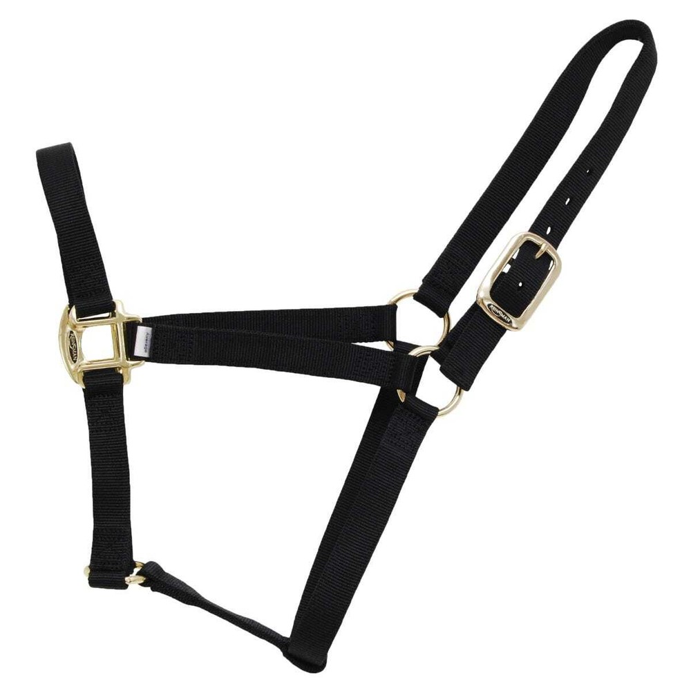 Reinsman Nylon Halter