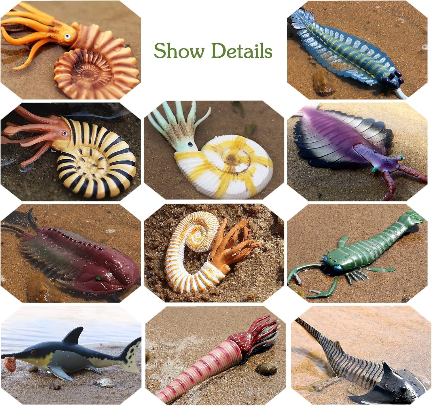 11PCS Prehistoric Sea Creatures Toys, Ancient Cambrian Ocean Animal Figurines