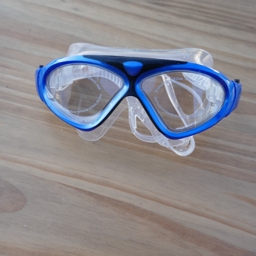 Outdoor Master Goggles Blue And Clear With Case
