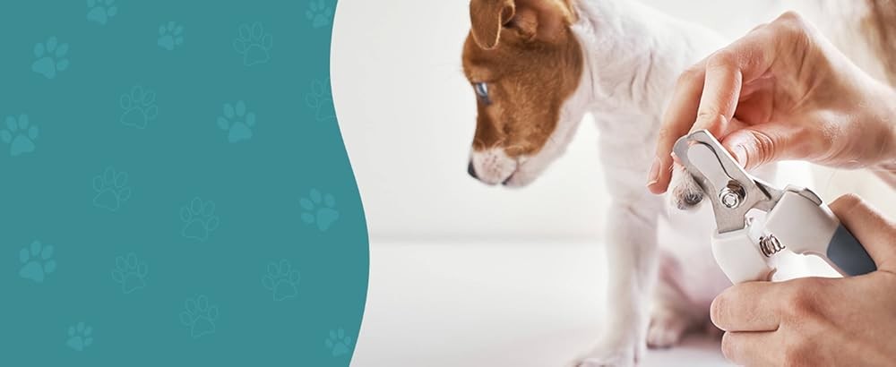 Dog Muzzle, Patented Mesh Muzzles for Small Medium Lar Dogs,