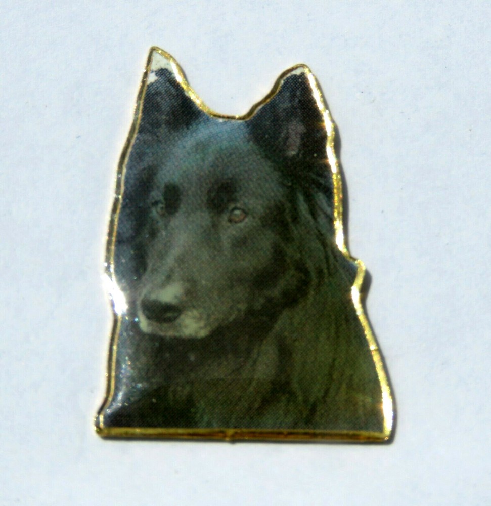 Belgian Sheepdog Dog Pin