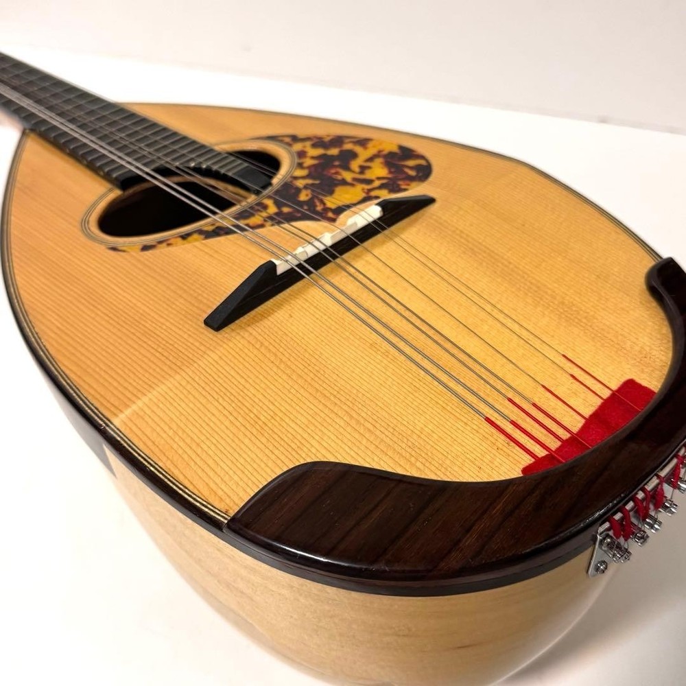 Good condition MONOPIA Mandolin with hard case