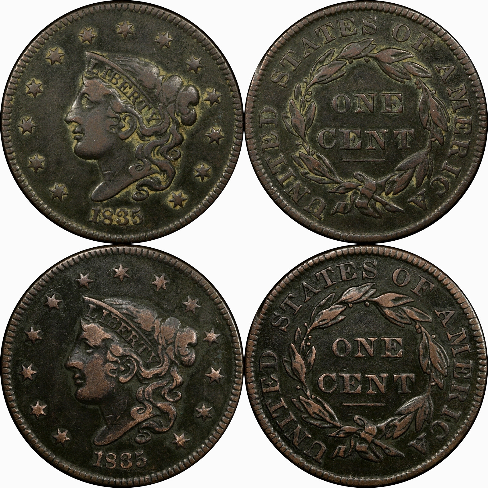 VERDI-CARE™ Coin Conservation Fluid - Economy 8 oz Bottle -Original Manufacturer