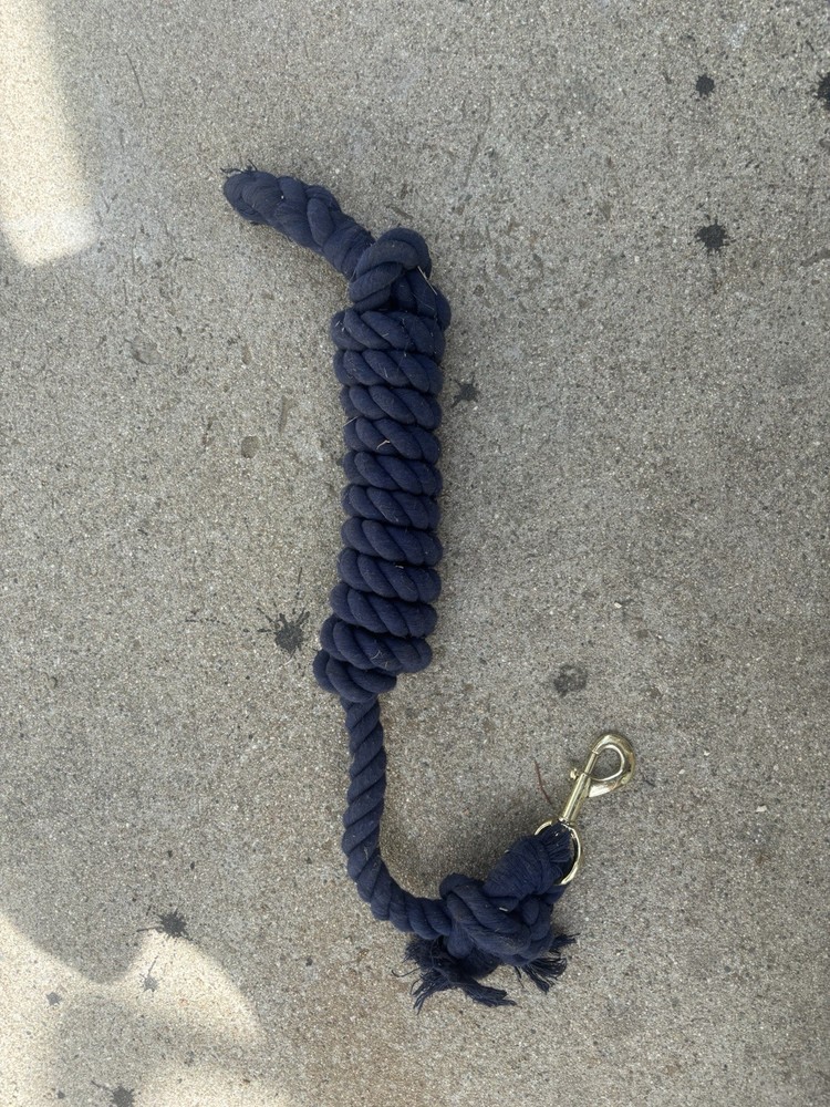 lead rope horse Blue Brass