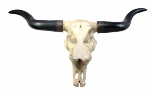 Ebros Large 27"Wide Longhorn Steer Cow Skull Wall Head Hanging Sculpture Plaque