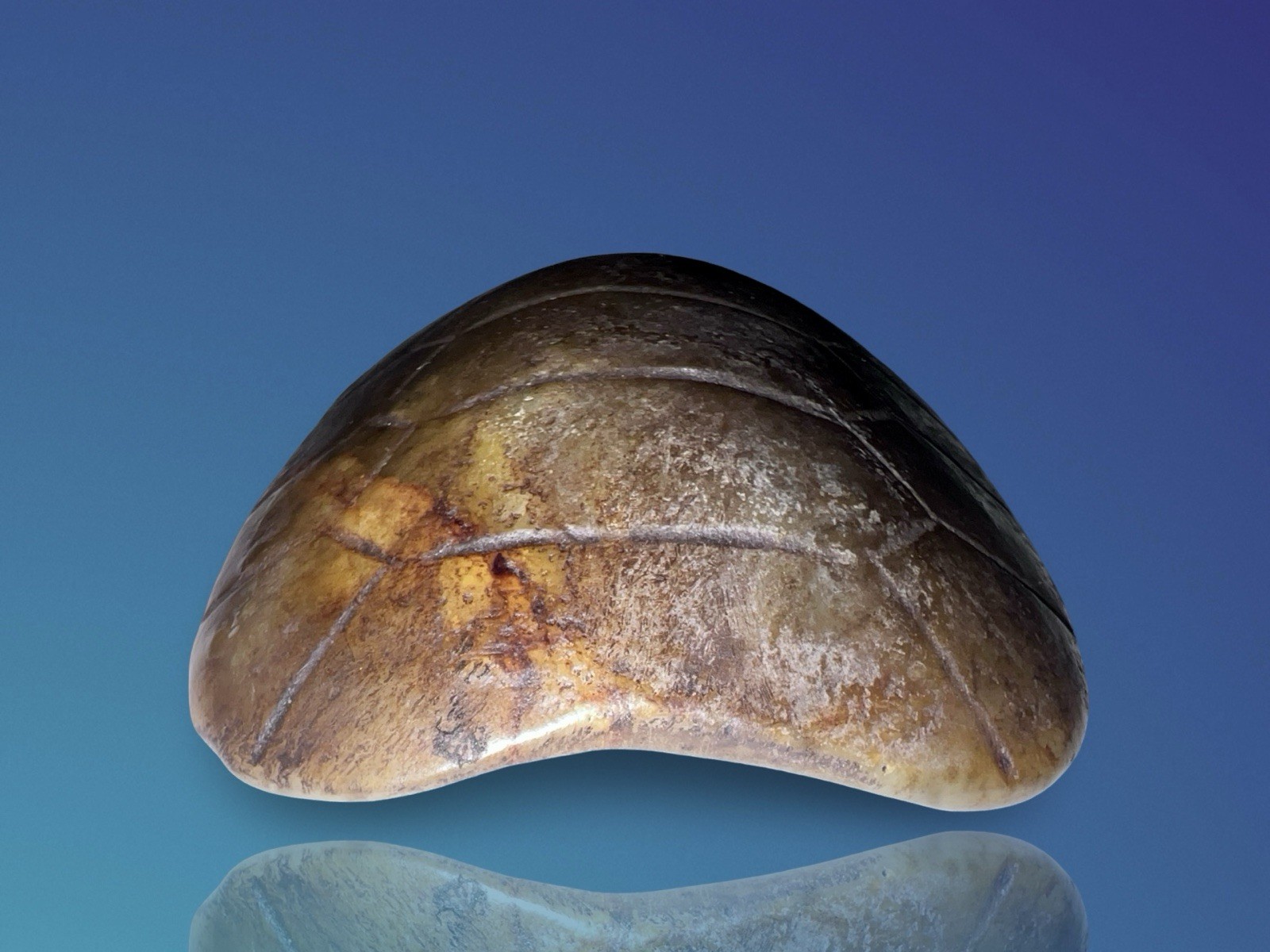 Pueblo Native American Turtle Fetish Pendant c.1800s – Pump Drilled