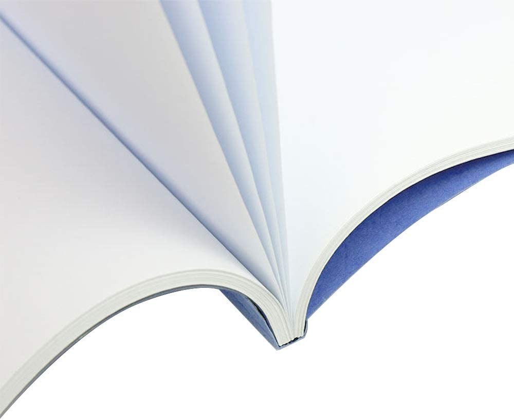 RAYSON TBC2346-100BL-US Thermal Binding Covers, Letter Size, Blue, 100-Pack