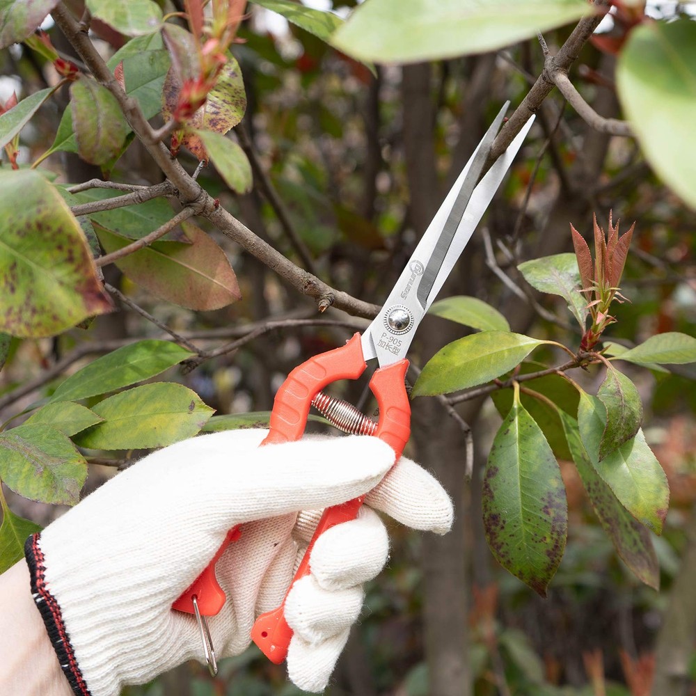 2 PACK Multifunctional Thin Fruit Scissors, P-905 Garden Pruner Shears Cutter...