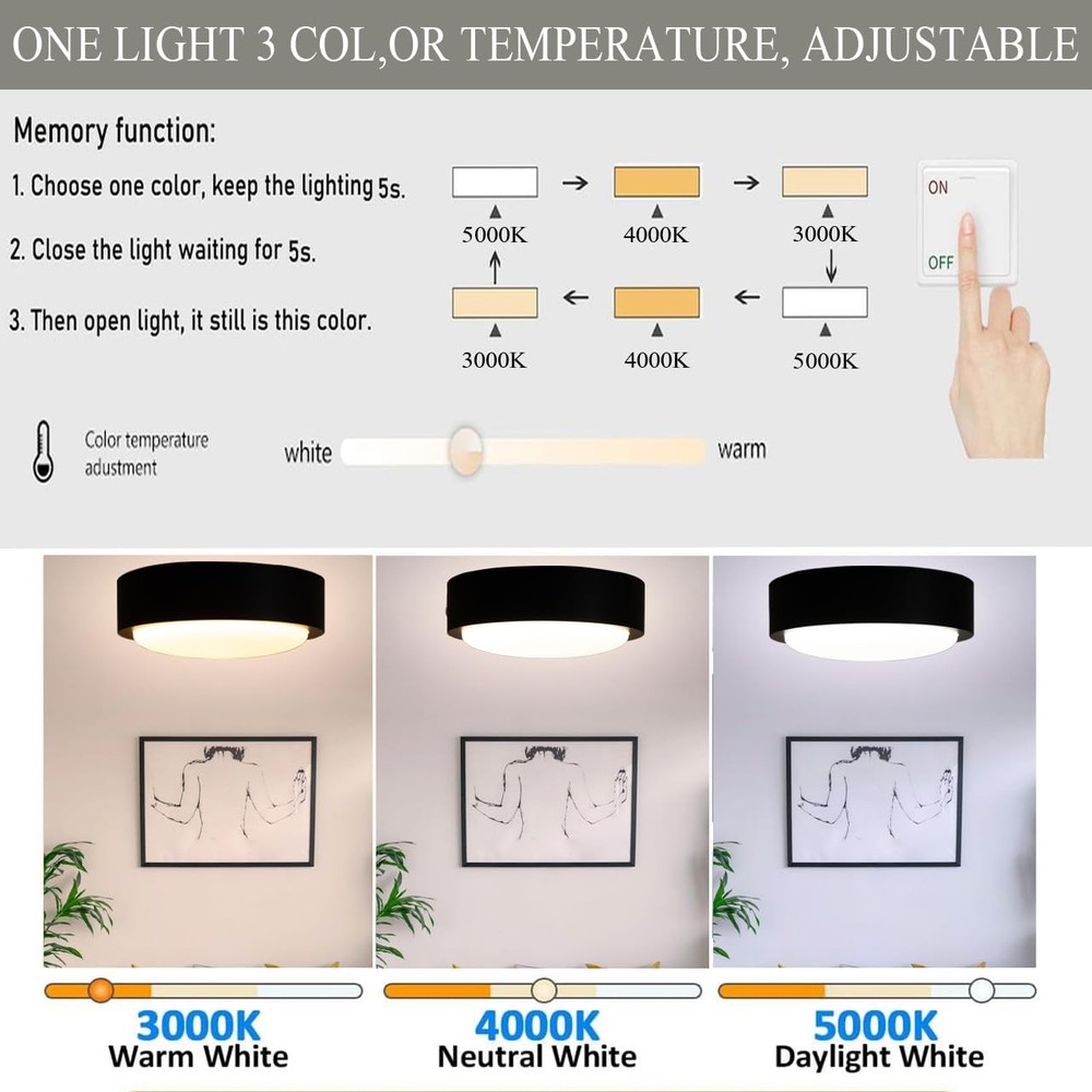 Black Flush Mount Ceiling Light,13 Inch 20W LED Ceiling Light Fixture, 3 Colo...