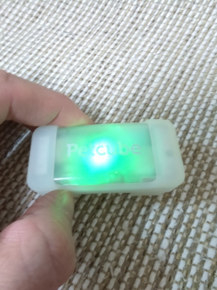 Petcube GPS Tracker for Dogs. Read!!!