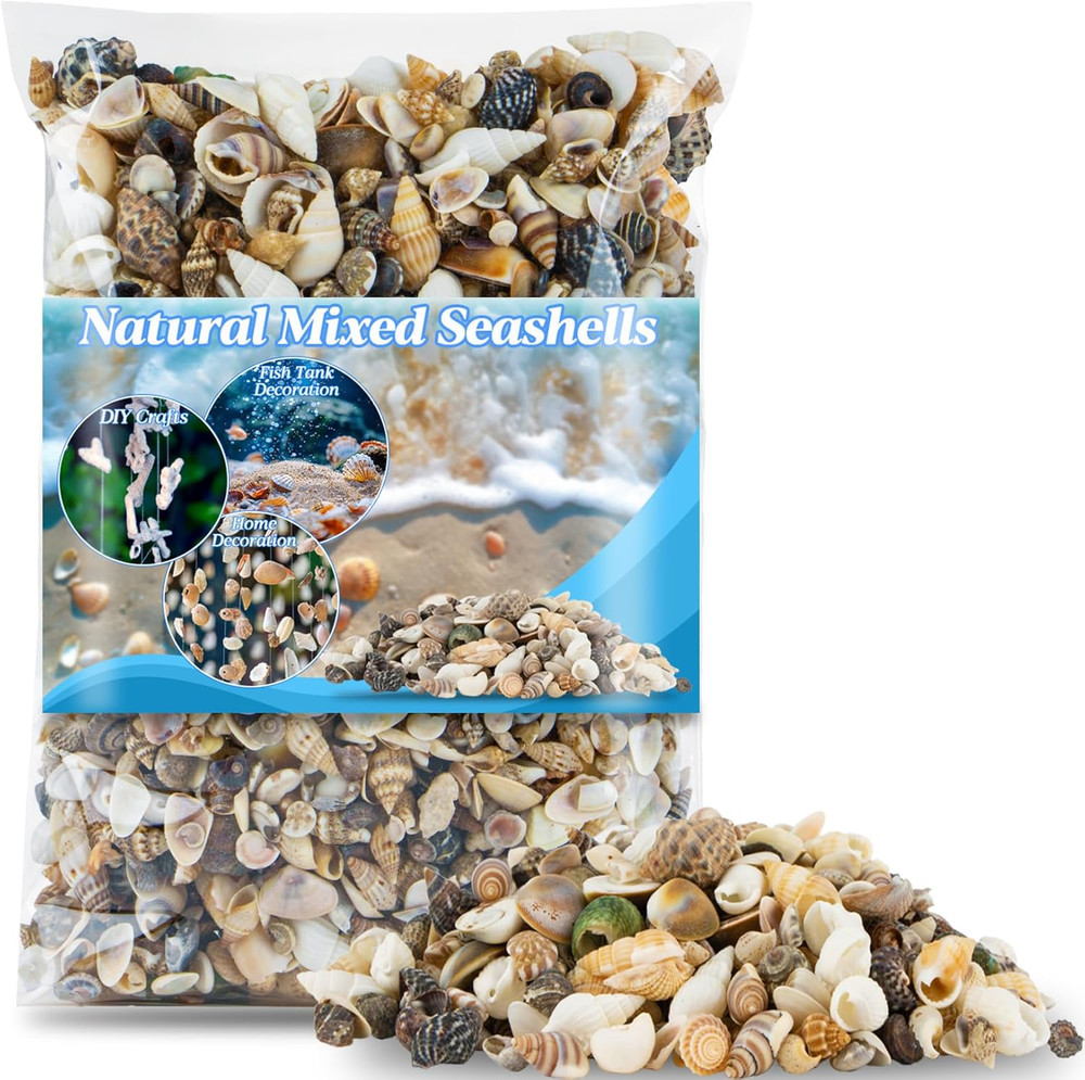 Tiny Seashells for Crafts - Small Sea Shells Mixed Ocean Beach Shells Bulk for H