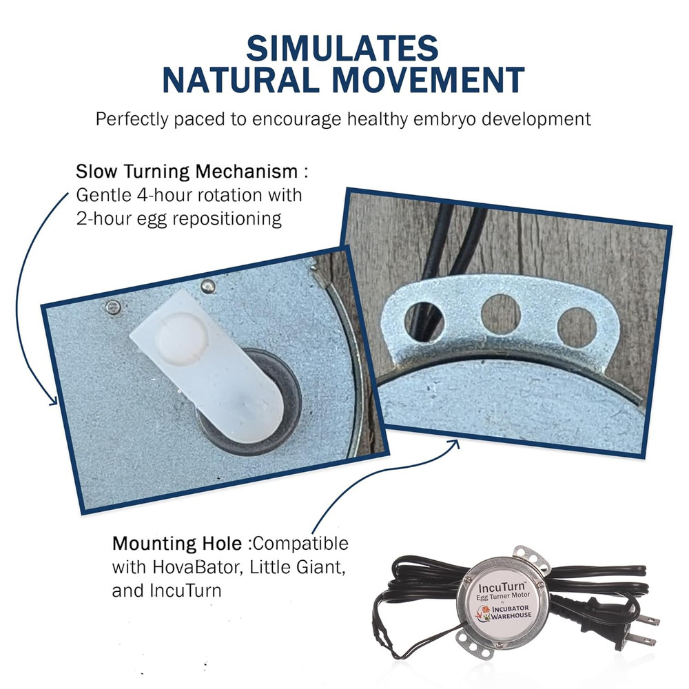 Replacement Egg Turner Motor - High Performance Turner for Incubator - Eggs Turn