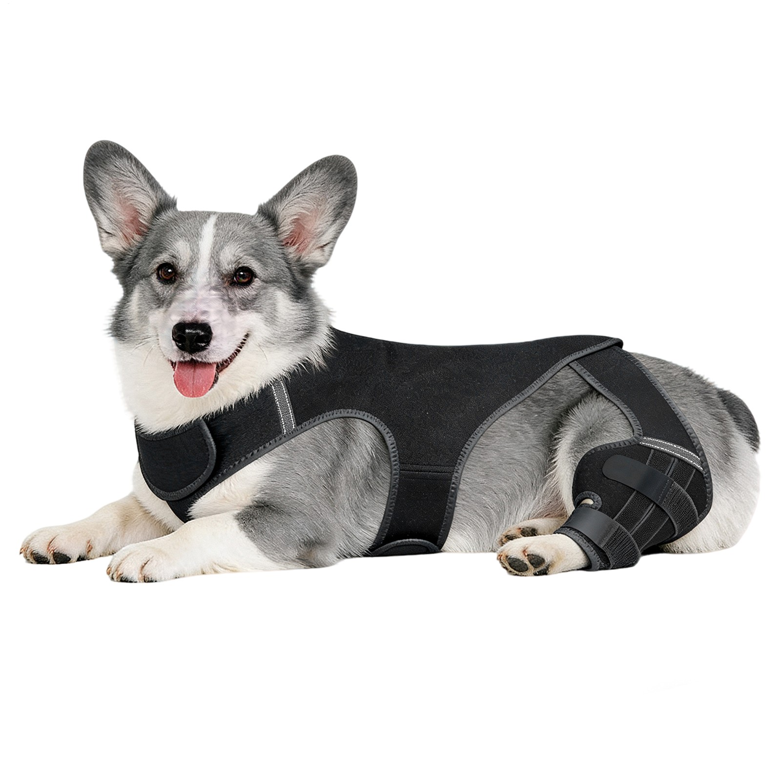 Dog Knee Brace for ACL & Hip Support - Adjustable Rear Leg Brace for Recovery