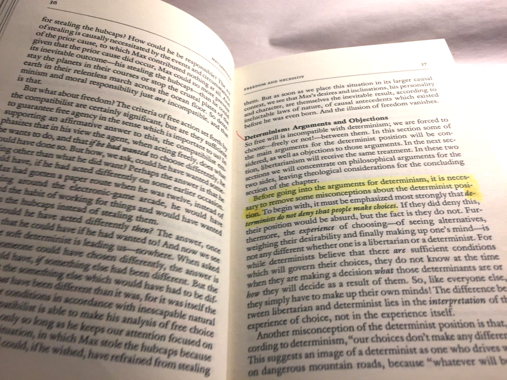 Metaphysics: Constructing a World View by William Hasker