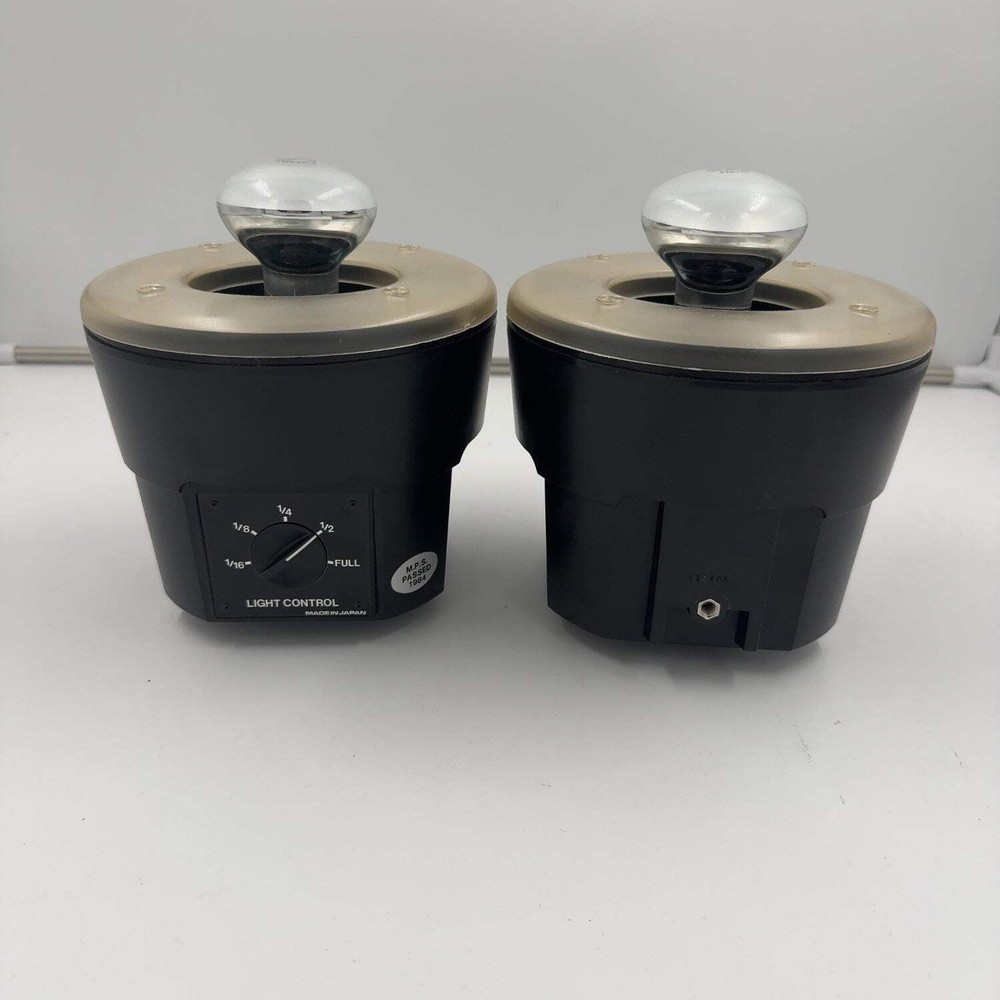 Morris Modeling Lamp